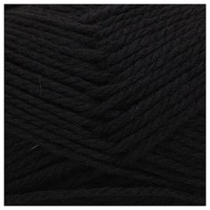 Пряжа для вязания Astra Premium Деметра 100гр. 100м (50% шерсть, 50% акрил) (02 черный), 3 мотка