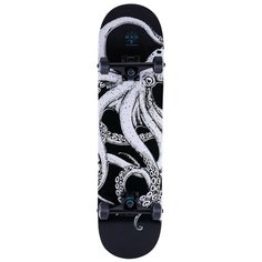 Скейтборд Ridex Octopus 31.65″X8″