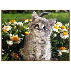 Алмазная мозаика «Послушный котёнок», 32 цвета Milato