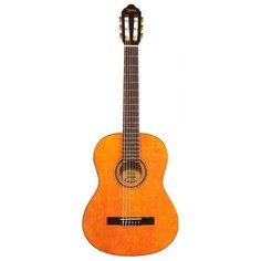 Гитара классическая Valencia VC104