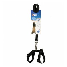 Шлейка для хорьков с поводком DUVO+ чёрная, 15x5x1,8см (Бельгия)