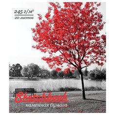 Блокнот для зарисовок А5, 20л пзбм "Осень" (245 г/кв.м, спираль, каменная бумага, тиснение фольгой, твин-лак) (98597) Полотняно Заводская Бумажная Мануфактура