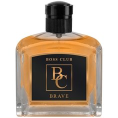 Туалетная вода Юдиф Boss Club Brave, 100 мл