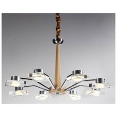 Подвесная люстра Lucia Tucci Natura 070.8 LED