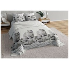 Детское постельное белье Valtery 0257-1 DL-31 (Поплин) / 1.5 спальный