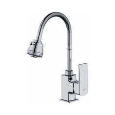 Смеситель для кухни с гибким изливом Frud R44151