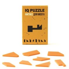 Головоломка IQ PUZZLE Ключик оранжевый