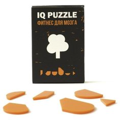 Головоломка IQ PUZZLE Дерево оранжевый