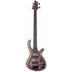 Бас-гитара SCHECTER RIOT-5 ARB
