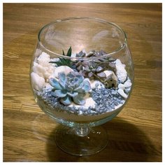 Коралловый берег Letto