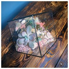 Куб мини Letto