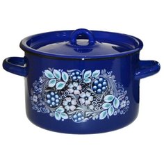 Кастрюля СтальЭмаль 1С16С/1, 2.9 л, синий (голубика)