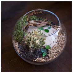 Натуральный Letto