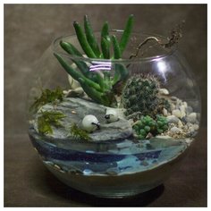 У водоёма Letto