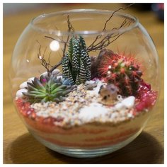 Красная пустыня Letto