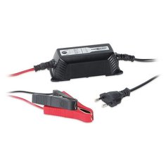 Зарядное устройство для свинцово-кислотных ANSMANN ALCT 6-24/2