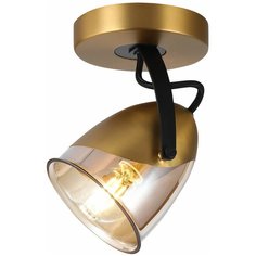 Спот Lussole Antelope LSP-8422