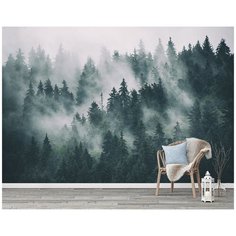 N00304 Фотообои Флизелиновые с виниловым покрытием Природа "Туманный лес" 400х270 см Barton Wallpapers