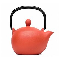 Чугунный чайник IWACHU для чайной церемонии 0,30л оранжевый