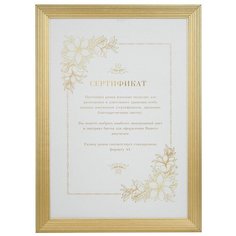 Фоторамка Mpa А4 21х29.7 см, золото