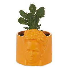 Balvi Горшок керамический для цветов Frida желтый