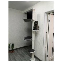 Когтеточка MYSNOOPY Comfort-3С (200 см), цвет белый серые подушки