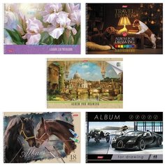 Альбом для рисования Hatber 48 листов спираль, обложка мелованный картон, 100 г/м (A274309)