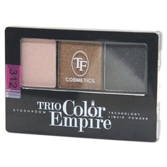 TF Cosmetics Палетка теней Trio Color Empire 312 золотой смоки