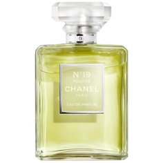 Парфюмерная вода Chanel №19 Poudre, 100 мл
