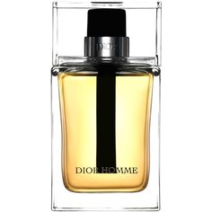 Туалетная вода Christian Dior Dior Homme (2005), 100 мл