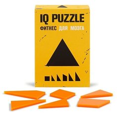 Головоломка IQ PUZZLE Треугольник оранжевый