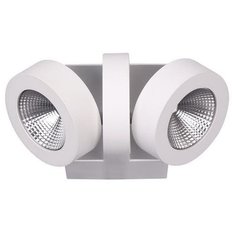 Светодиодный спот Odeon Light Laconis 3538/2WA