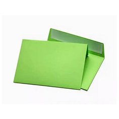 Конверт цветной (160х160мм) Зеленый Курт