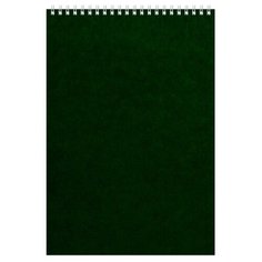 Блокнот на спирали А4 60л. зелен.картон д/лог.клет.14ш Альт