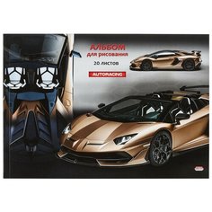 Альбом для рисования А4 20л,склейка,обл.мел.карт. Бронзовая машина 20-5448 4 штуки Проф Пресс
