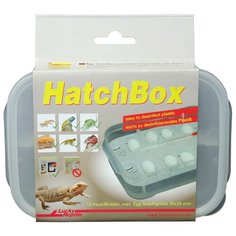 Контейнер для инкубации яиц LUCKY REPTILE "HatchBox", 17х11см (Германия)