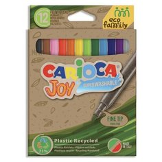 Фломастеры экологичные CARIOCA (Италия) "Joy" EcoFamily 12 цветов, вентилируемый колпачок, 43100
