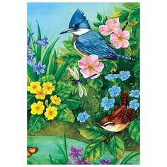 Картина по номерам 40х50 см. Colibri / Синяя птица / GX21483 / Холст на подрамнике