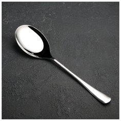 Ложка для салата, гарнирная "Моника" 25 см 4569605 Сима ленд