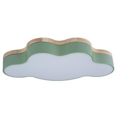 Потолочный светильник светодиодный для детской Axel 10005/30 Green (Loft It)