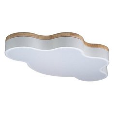 Потолочный светильник светодиодный для детской Axel 10005/36 White (Loft It)