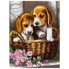 Картина по номерам Щенки в корзине Цветной