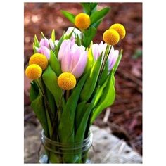 Алмазная мозаика Яркие Грани "Весна" (DS320), размер 37х50см, 55 цветов