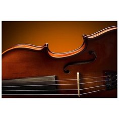 Алмазная мозаика Яркие Грани "Скрипка" (DS526), размер 50 х 34 см, 40 цветов