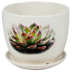 Кашпо для цветов "Кактус" 12*10 см Rettal