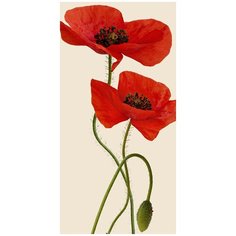 Фотообои Маки 90см*180см,холст Divino