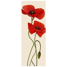 Фотообои Маки 100см*270,холст Divino