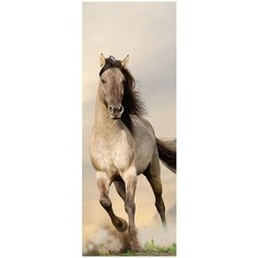 Фотообои Скакун 100*270,песок Divino