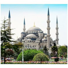 Фотообои Стамбул Голубая мечеть 2,300см*270см,холст Divino