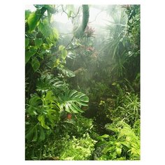 Фотообои Fotooboikin "Тропический лес" 200х270